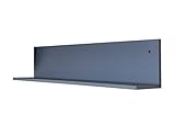 Flex-Well Küchen-Wandregal LUCCA | 1 Ablagefläche | Breite 100 cm | Platinblau-Metallic