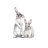 CaCaCook Hasen-Wandaufkleber, 30 X 4 X 3 Osteraufkleber, Hasen-Cartoon-Wandaufkleber, Abnehmbare Wanddekoration für Zuhause, Kindergarten (A22)