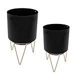 Spetebo Metall Pflanzenständer 2er Set - 23 und 18 cm - Blumentopf in schwarz mit Gestell in Gold - Pflanzen Blumen Deko Topf Ständer Halter rund klein