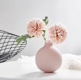 minim. Nordic Vase Dekoration Blume Topf Blume Korb Blume Vase Dekoration Schlafzimmer Studie Hause Hochzeit Tisch Dekoration Glas Vase (set 8)