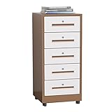 FIONEL Aktenschrank Rollcontainer Aktenschrank mit 5 Schubladen, vertikaler Aktenschrank, Home Office, Metall, Aktenschrank, Organizer, Aktenschrank mit Schloss Büroschrank (Color : Coffee Color)