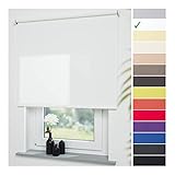 Liedeco® Rollo, Spring-, Schnapprollo / 122 x 180 cm (Breite x Höhe), weiß / lichtdurchlässig, Blickdicht / viele Farben, Größen und Typen / Breiten 60-200 cm / Variable Montage möglich