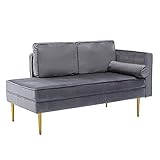 Mingone Modernes Design Chaiselongue Zweisitzer-Sofa Freizeitsessel Samt-Armlehnensofa mit Kissen Relax für das Wohnzimmer(Hellgrau,1)