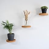 HomeBucket Holz Wandregal rund Wohnzimmer Deko modern Echtholz Pflanzen Wandhalterung Schweberegal klein 3er Set Regal für die Wand für einen Blumentopf oder eine Vase schöne Wanddeko (Hell)