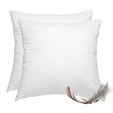 wometo 2er Set Federkissen 100% Federn 40x40 cm - 300g oekoTex Kissen Füllkissen Bezug Baumwolle weiß I Innenkissen/Kissenfüllung/kleine Kopfkissen (viele Maße) (2 Stück)