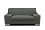 DOMO Collection Sofa Alisson, 2er Couch, 2-Sitzer, 2er Garnitur, 164x83x75 cm, Polstergarnitur in grau
