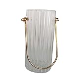 Ronyme Klare zylindrische Glas-Blumenvase, gestreifte Linien, mit Metall-Tragegriff für Esszimmer, Küche, stabiles Deko-Stück, multifunktional, 9x30cm