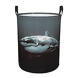 Toller weißer Hai-Aufdruck Wäschekorb, faltbarer Aufbewahrungskorb, Haushaltsaufbewahrung für Kleidung, Bettwäsche, Laken, Spielzeug