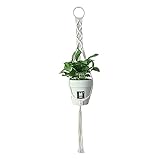YWSTYllelty Übertopf 25 cm Durchmesser Anthrazit Pflanzenaufhänger aus Baumwollseil zum Aufhängen von Pflanzen für den Innenbereich der Familie Ton Blumentopf (as Shows-1, One Size)