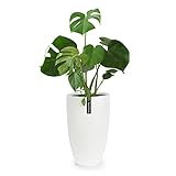 Fox&Fern Übertopf L - extra grosser Blumentopf inkl. Wasserabfluss - Blumentopf hoch 50cm - Übertöpfe für Zimmerpflanzen - Pflanzentopf groß auch für Outdoor geeigent - Plant Pot - Blumentopf weiß