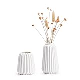 Pevfeciy Kleine Vase Weiß Matt Blumenvase Modern Keramik Dekovase 2 er vasen Set für Tischdeko Tischvase mit Rillen für Dekoration Küche Büro