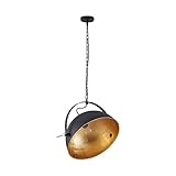 Lindby Pendelleuchte 'Muriel' (Modern) in Schwarz aus Metall u.a. für Wohnzimmer & Esszimmer (1 flammig, E27) - Deckenlampe, Esstischlampe, Hängelampe, Hängeleuchte, Wohnzimmerlampe