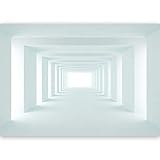 murando - PREMIUM Fototapete XXL 3D Effekt 500x280 cm Vlies Tapeten Wandtapete XXL Moderne Wanddeko Design Wand Dekoration Wohnzimmer Schlafzimmer Büro Flur Tunnel Abstrakt Architektur a-B-0036-a-d