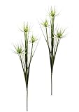 Papyrus im Grasbusch Graszweig Dekozweig Zweige Kunstgras Kunstblumen Uferschilf Ufergras Gras künstliche Pflanze Ziergras Schilf Federgras Kunstpflanzen Solitärgras Einzelblume Stielblume Seidenblume
