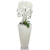 Künstliche Orchideen im Hochübertopf - Gesamthöhe: ca. 130cm | Stoffblüten | Farbe: Weiß | Gesteck Orchidee Kunstpflanze