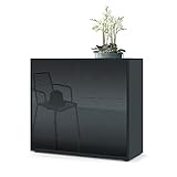 Vladon Sideboard Ben, Kommode mit 2 Türen und 2 Schubladen, Schwarz matt/Schwarz Hochglanz (79 x 74 x 36 cm)