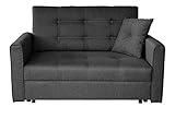 Mirjan24 Sofa Viva II Lux mit Schlaffunktion, Bettsofa, 2 Sitzer Polstersofa mit Bettkasten inkl. Kissen, Schlafsofa Sofagarnitur, Wohnlandschaft, Farbauswahl (Tatum 283)