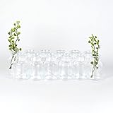 gouveo 12er Set Glasvasen Clear-Bottle 30 - Mini Blumenvasen aus Glas - Kleine Deko-Vasen für Zuhause, Hochzeiten, Geburtstage, Feste