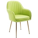 Moderne Küchen-Esszimmerstühle, Wohnzimmer-Sessel, modernes Leder (grün)