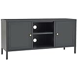 Makastle Lowboard TV Möbel Tisch TV-Ständer TV Schrank TV-Board TV-Bank mit 2 Glastüren und 2 Fächer, Fernsehtisch Fernsehschrank für Wohnzimmer & Schlafzimmer, Anthrazit 105x35x52 cm Stahl und Glas