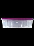 WieWin Eurobox Stapelbox Unterbettbox Transportkiste Box vesch Farben 60x40x17cm