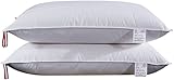 GOOBIX Natürliches weißes Gänsedaunen-Kissen Fünf-Sterne-Hotel-Feder-Kissen-Bettwäsche for das Schlafen des Gesundheitshauses 48x74cm 1pc (Color : A Size : 48x74cm) wangyiren93