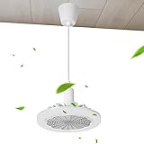 Kleinner Deckenventilator,9,05 Zoll dimmbarer LED-Deckenventilator für den Außenbereich, langlebiger Deckenventilator für den Außenbereich, Deckenventilator mit Beleuchtung und Fernbedienung, langlebi