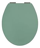 SITZPLATZ® WC-Sitz mit Absenkautomatik, Dekor Trend Grün, Soft Touch, Toilettensitz mit Holzkern, Fast-Fix Schnellbefestigung, Metall-Scharniere, WC-Deckel, ovale Standard O Form universal, 40731 1