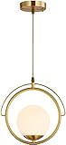 VETCS Moderne verstellbare Schnur Pendelleuchte Schatten Ring Kronleuchter Einfachheit Goldkugel Hängelampe mit E26 Sockel Bartheke Droplight Leuchte for Wohnzimmer Flur Restaurant