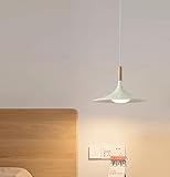 SXYSXYSXY LED Moderne Esstischlampe Minimalismus Pendelleuchte Schlafzimmer Pendellampe 10W Dekorativ Hängelampe 3000K Kücheninsel Kronleuchter für Loft Ø30cm,Weiß