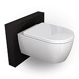 BERNSTEIN® Design Wand WC spülrandlos Hänge WC Set Toilette mit abnehmbaren Deckel WC sitz mit Absenkautomatik Hängetoilette WC ohne Spülrand NT2039 Tiefspül-WC D-Form – WC randlos Standard-Deckel