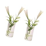 TOYANDONA Nachahmungspflanzen Miniaturpflanzen Miniaturpuppen Minipflanzen 2 Stück Desktop-Zubehör Klare Lilienblumen-Modell-Set Gefälschte Miniaturblumen Desktop-Blumendekoration