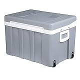 WOLTU Kühlbox, Tragbarer Mini Kühlschrank, 50 Liter Isolierbox zum Warmhalten, Kühlen für Auto, Van, Fahrzeug, Boot mit Räder für Camping, Reisen, Angeln - DC 12V & AC 220V Grau [EEK A++] KUE003gr