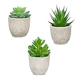 3 stücke Künstliche Sukkulenten Pflanzen mit Topf Kunstpflanzen im Topf Plastik Pflanzen Zimmer Deko Artificial Plants Fake Plant Für Büro Balkon Wohnzimmer Gartentisch