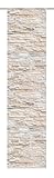 Home Fashion SCHIEBEVORHANG DEKOSTOFF Digitaldruck WALLI, Stoff, Natur, 245 x 60 cm