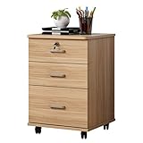 Büroschrank/Aktenschrank Einfaches Büro Aktenschrank aus Holz A4 Schubladenschrank Lagerschrank Removable Data Schrank mit Lock-Lagerschrank Vertikale Ablageschränke (Color : C)