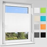 HausKit Plissee Klemmfix ohne Bohren, Weiß 60x100cm (BxH), Plisseerollo Fensterrollo Jalousie, Pflegeleichter Hochwertiger Vliesstoff, Sonnenschutz, Easyfix, für Fenster und Tür