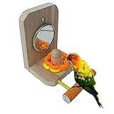 Litewood Vogel Spiegel Bird Schaukeln Holz Sitzstangen Käfig für Papagei Sittich Wellensittich Sittiche Nymphensittiche Finch Unzertrennliche Holz Ständer Sitzstange (zufällige Farbe)