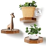 AceList Wandregal Holz - Schweberegal Wandregal Achteckiges - Wandregal Klein - Regale Wandablagen -Deko Regal-Pflanzenregal Holzregal - Wandboard Hängeregal - 3er Set -Braun(Durchmesser Ø15cm)