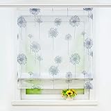 Joyswahl transparentes Raffrollo mit Pusteblume Druck Raffgardine mit Klettschiene »Aleyna« Schals Fenster Gardine BxH 60x140cm 1 Stück
