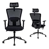 ralex-chair Ergonomischer Bürostuhl, Höhenverstellbarer Schreibtischstuhl Atmungsaktiver Mesh Computerstuhl Office Chair mit Verstellbarer Lordosenstütze und Armlehne Drehstuhl für Zuhause und Büro