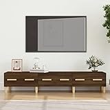 RAUGAJ TV-Schrank aus Eichenholz, 150 x 34,5 x 30 cm, Braun