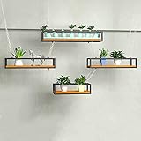 OHWODA Kleiderbügel im Vintage-Deckenstil (100 cm x 4), Wandregal zur Aufbewahrung an der Decke, Dekorationsregal (Größe: 150 x 25 x 15 cm) (100 x 25 x 15 cm) Everything is fine