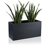 DECORAS Pflanztrog Blumentrog VISIO Fiberglas Blumenkübel - Farbe: anthrazit matt - großer Wetter- und winterfester Pflanztopf, robuster & UV-beständiger Pflanzkübel - TÜV-geprüfte Qualität…