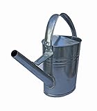 All4All Zinkgießkanne Gießkanne 5L 8L 10L 12L Blumengießkanne Metall feuerverzinkt Zink Silber für Innen- und Außenbereich (12 L)