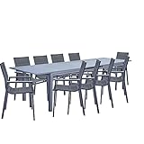 NATERIAL - Gartenmöbel Set für 10 Personen - Gartentisch ODYSSEA 256/320x100 cm - Ausziehtisch - 10 Gartenstühle ORION GAMMA mit Armlehnen - Gartensessel - Stapelbar - Sitzgruppe - Glas Aluminium Grau