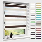 Doppelrollo klemmfix ohne Bohren, Duo Rollos für Fenster & Tür mit Bohren, Weiß Creme Braun 80x120cm (BxH), Fensterrollo lichtdurchlässig & verdunkelnd, Klemmrollo Sonnenschutz & Sichtschutz