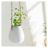 HASMI Blumentopf hängend Keramik Hängende Pflanzgefäße Wand montiert Seiltisch Tischhydroponics Pflanze Bonsai Vase Blumentopf Indoor Wohnkultur Outdoor Garden Blumentopf Balkon