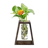 Mikiwon Pflanzen-Terrarium Desktop Glas Pflanzgefäß Reagenzglas Vase mit Trapezförmigem Retro Holzständer, Tischplatte Anzuchtstation für Hydrokulturpflanzen Home Office Hochzeit Dekoration