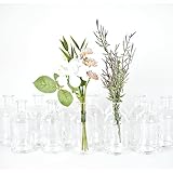 gouveo 12er Set Glasvasen Apo 250 - Runde Blumenvasen aus Glas - Zeitlose Deko-Vasen für Zuhause, Hochzeiten, Geburtstage, Feste